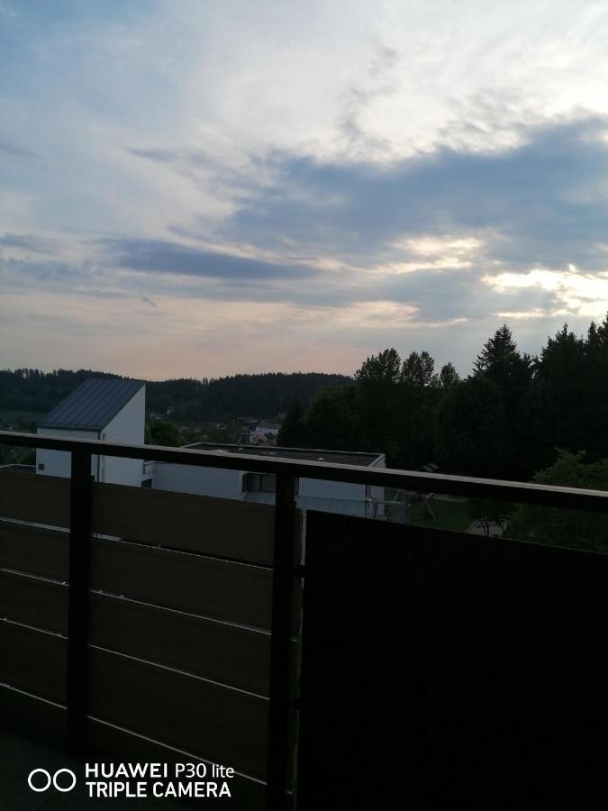 King Apartament 1 Mit Netflix Apartment Санкт Енглмар Екстериор снимка