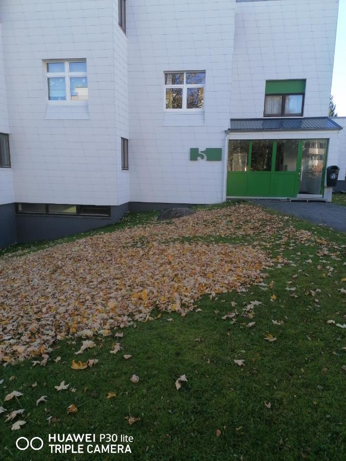 King Apartament 1 Mit Netflix Apartment Санкт Енглмар Екстериор снимка